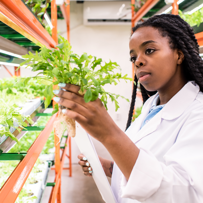 African scientist in lab with plants