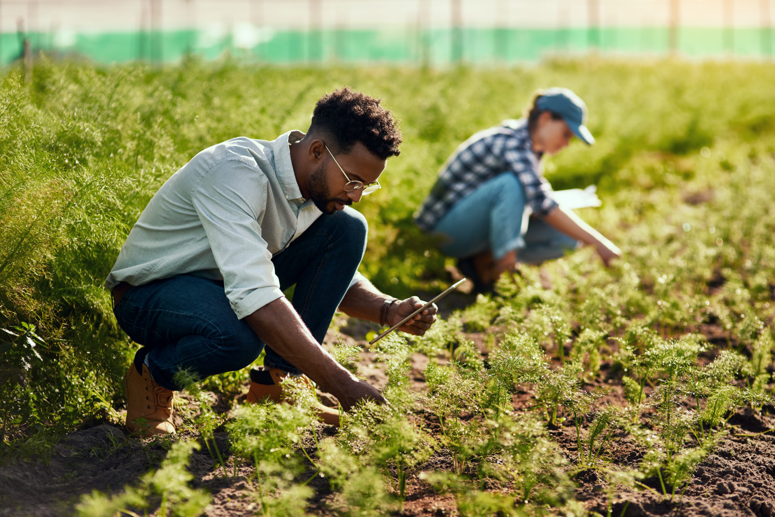 Supporting investment into UK AgriFood in 2023