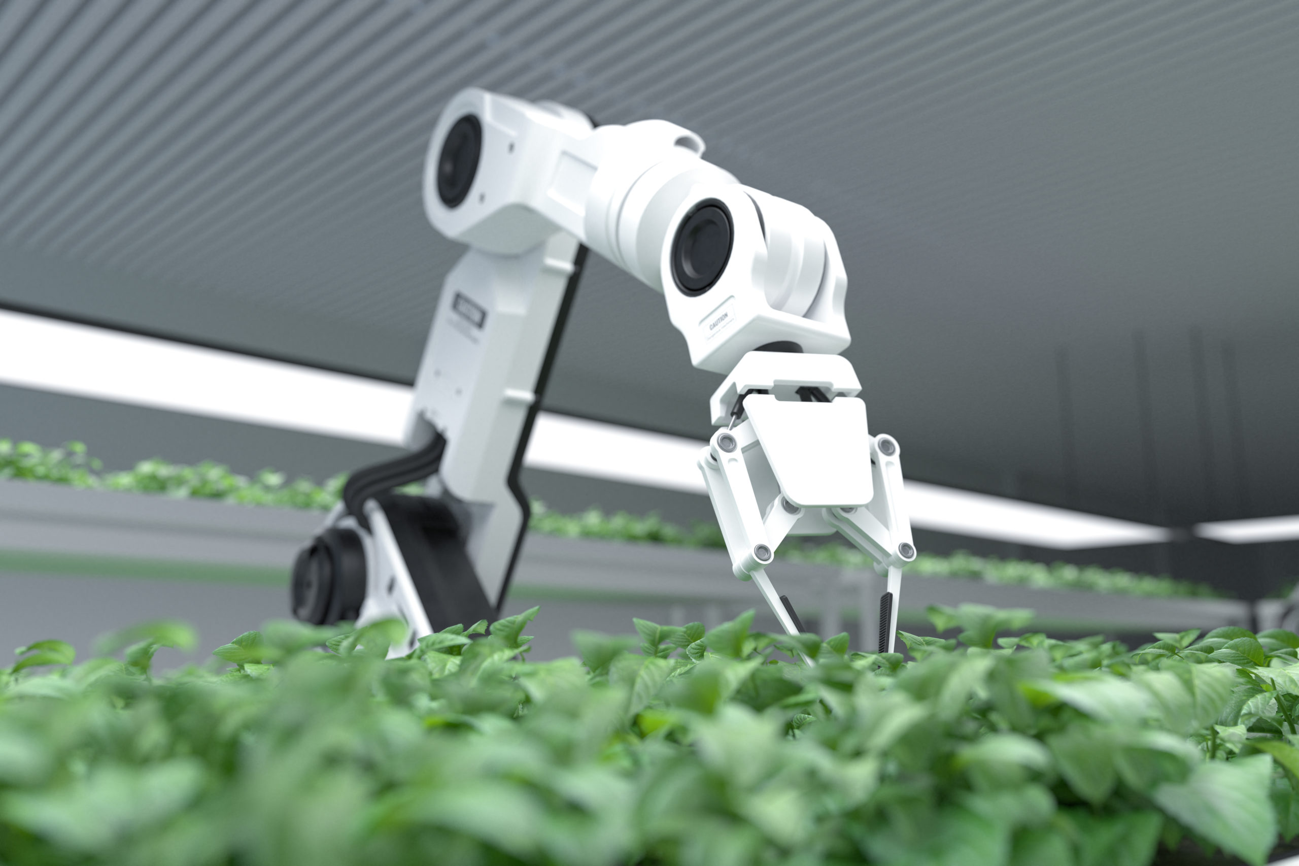 Accelerating AgriTech adoption in the UK 