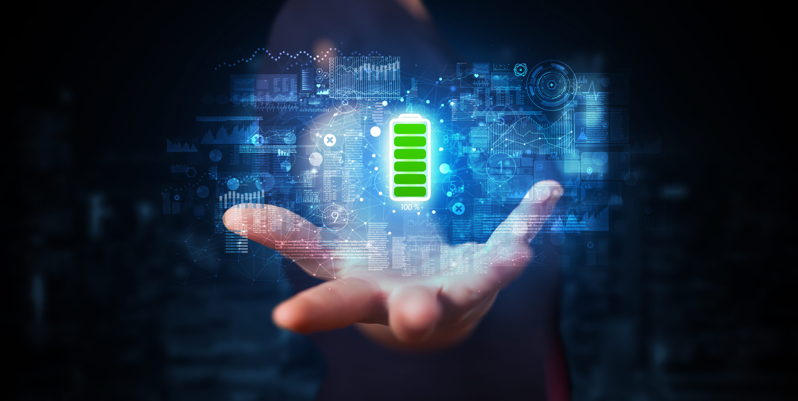 Faraday Battery Challenge 2024