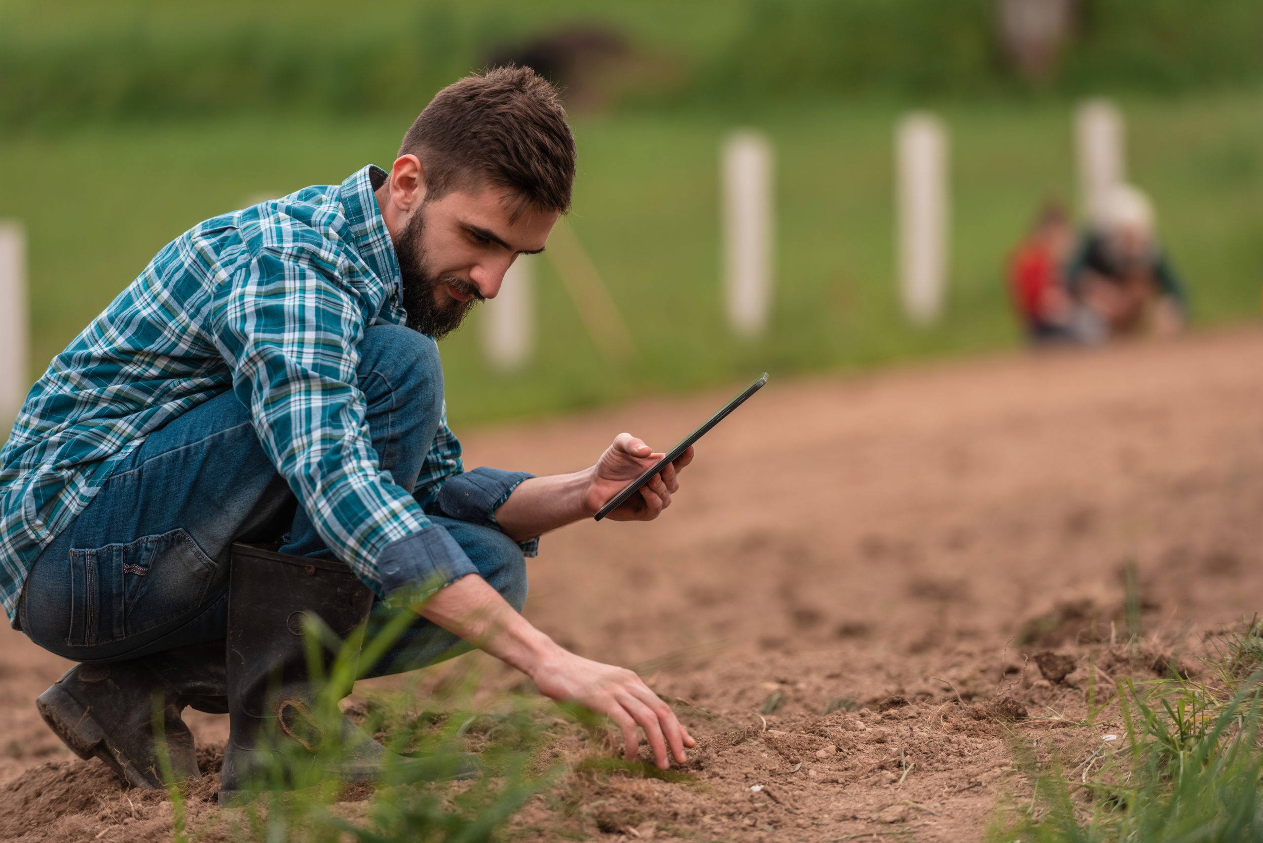 Agri-Tech Catalyst funding to accelerate the adoption of new AgriFood technologies in Africa