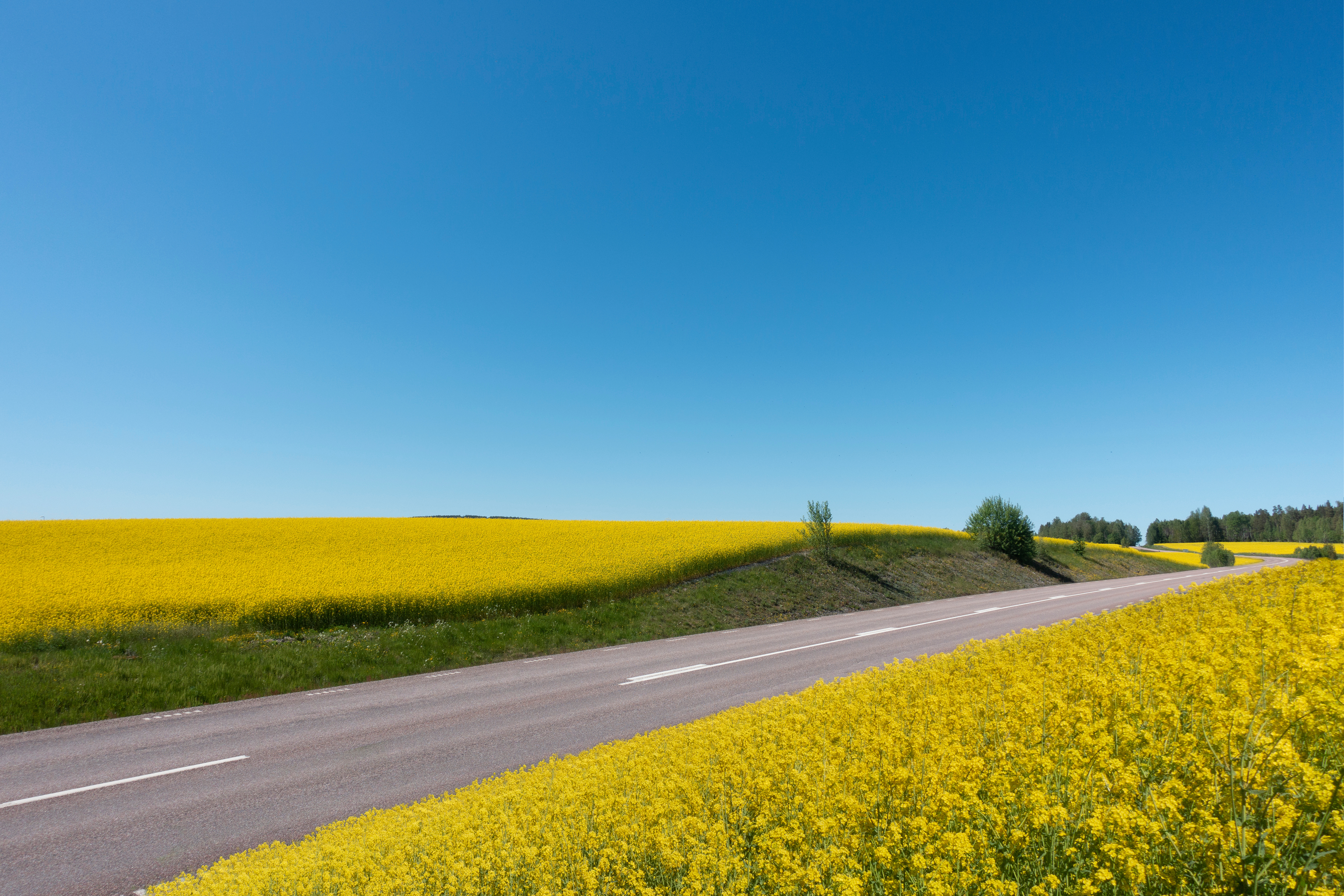 SusBioMM funded carbon-negative and economically viable binder for asphalt.